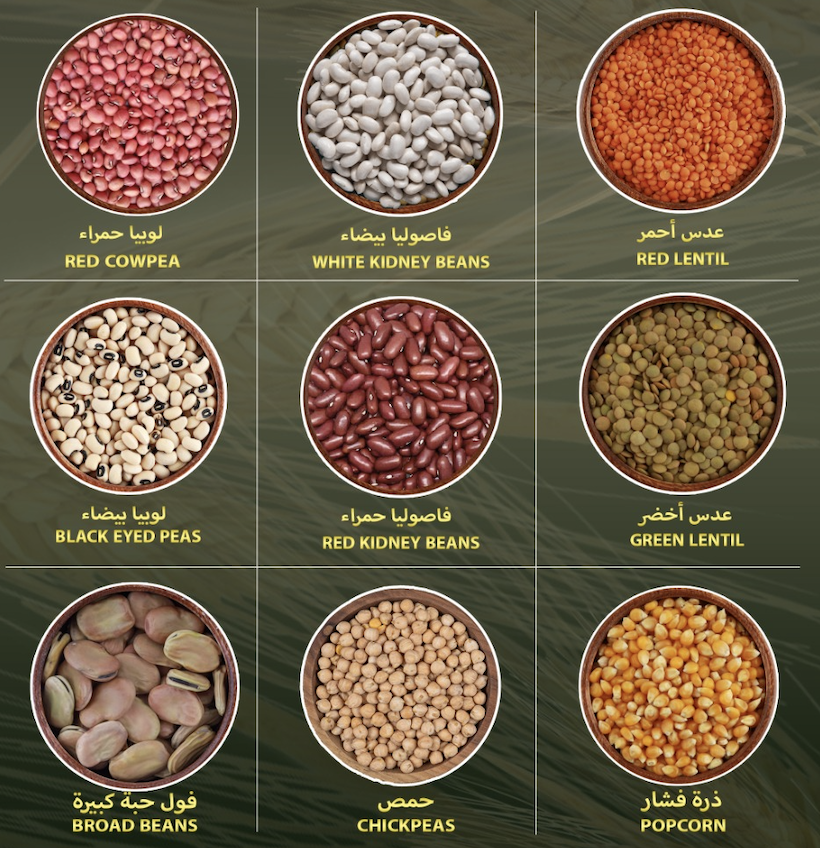 Pulses Products